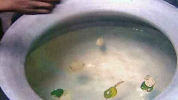 মৃত্যুর পর কেন বরই পাতা দিয়ে গোসল দেয়া হয়? - Sunamganj Journal