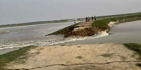 ধর্মপাশার ডুবাইল হাওরের বাঁধ ভেঙে তলিয়ে গেছে কৃষকের বছরের স্বপ্ন - Sunamganj Journal