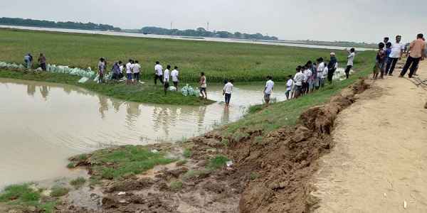 মধ্যনগরে শিক্ষার্থীদের স্বেচ্ছাশ্রমে রক্ষা পেল ২৫ হেক্টর জমির ধান - Sunamganj Journal