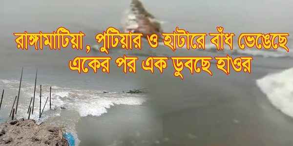 তিনটি বাঁধ ভেঙে পানিতে ডুবেছে সোনালী ফসল - Sunamganj Journal