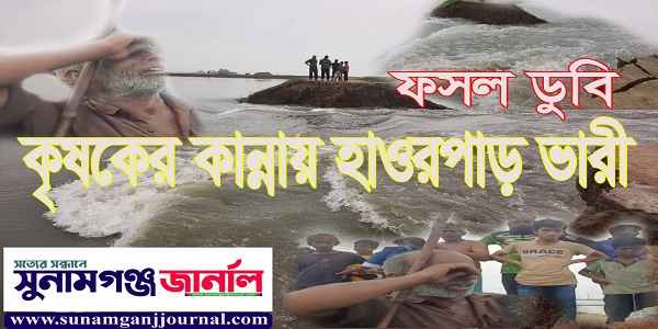চোঁখের সামনে নিমিষেই তলিয়ে গেল ছায়ার হাওরের বোরো ফসল, কৃষকের কান্নায় হাওরপাড় ভারী - Sunamganj Journal