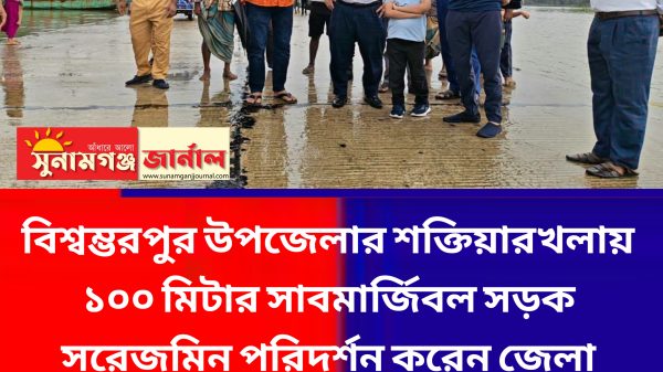শক্তিয়ারখলায় ১০০ মিটার সাবমার্জিবল সড়ক  পরিদর্শনে ডিসি - Sunamganj Journal